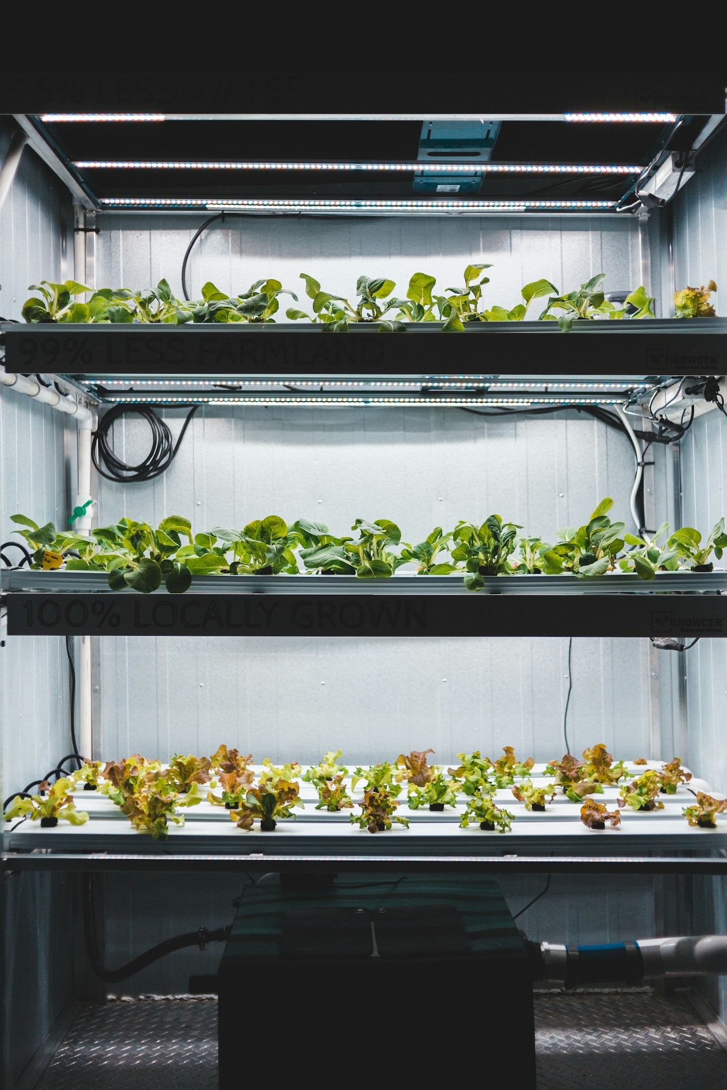 Biodiversità in crisi: cause e possibili soluzioni